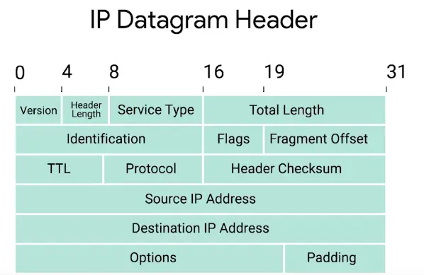 IP Datagrams