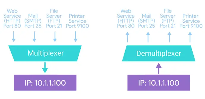 A Small Company Network Hosted on a Single Server