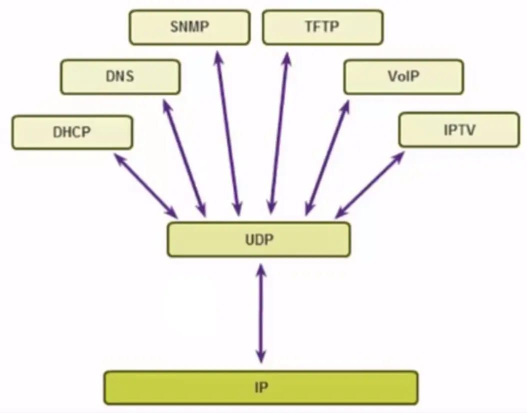 Basics of IP Addressing and the OSI Model