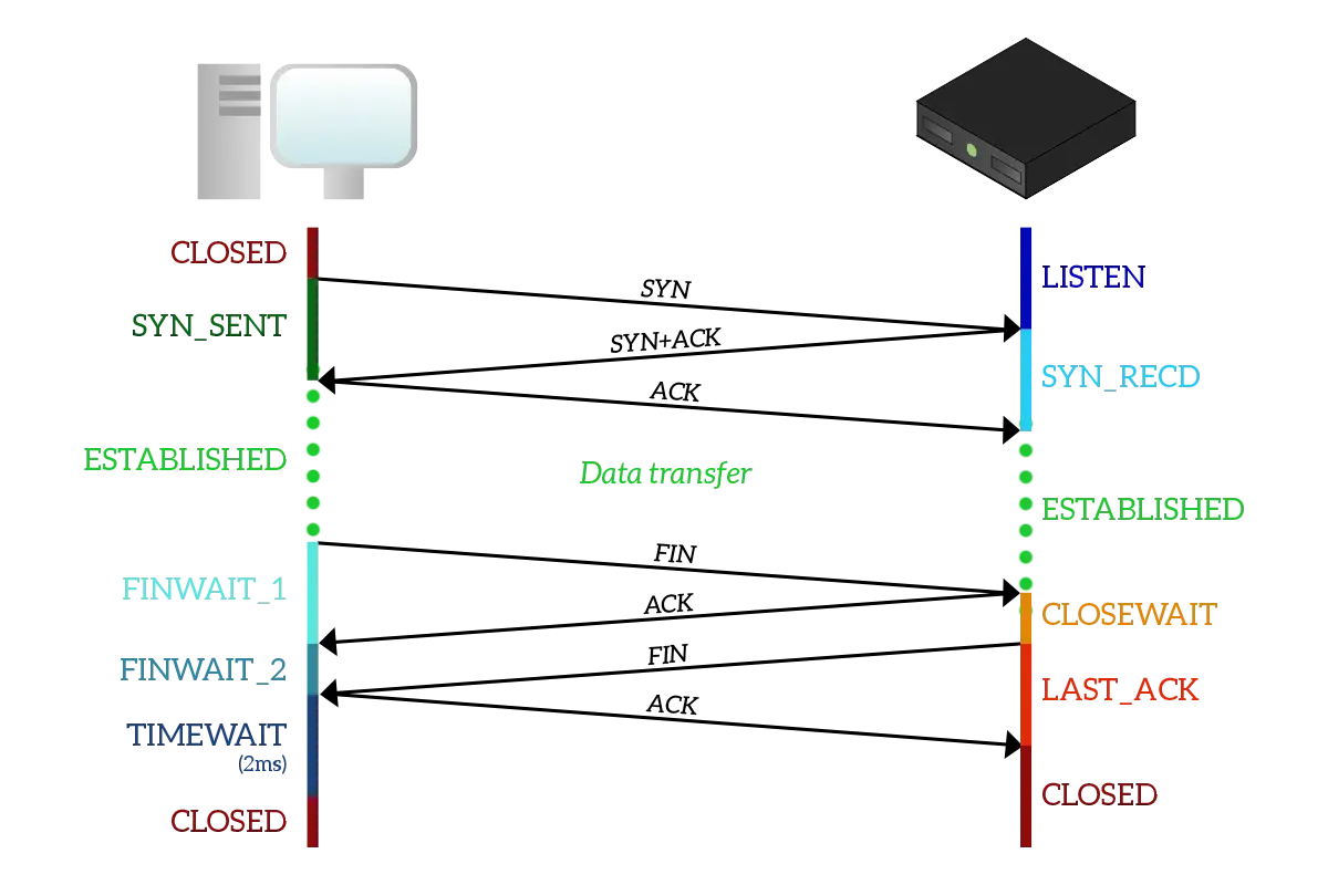 Basics of IP Addressing and the OSI Model