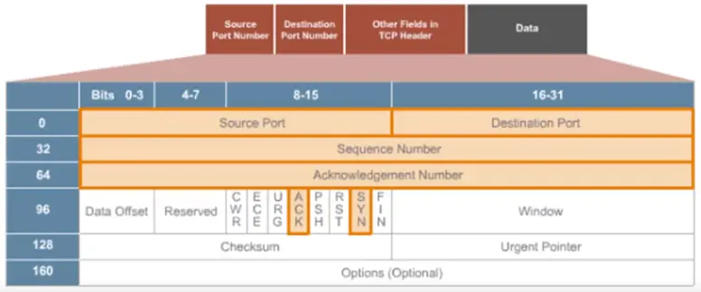 Basics of IP Addressing and the OSI Model