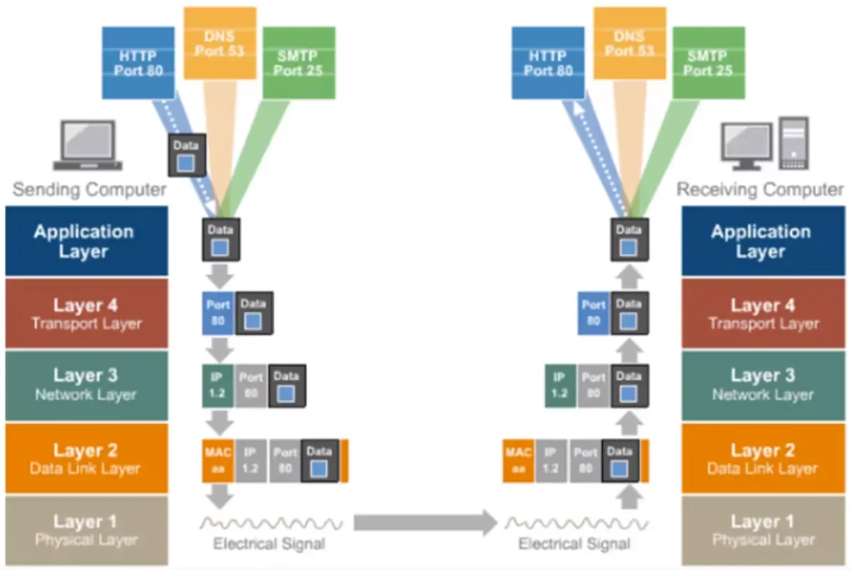 Basics of IP Addressing and the OSI Model