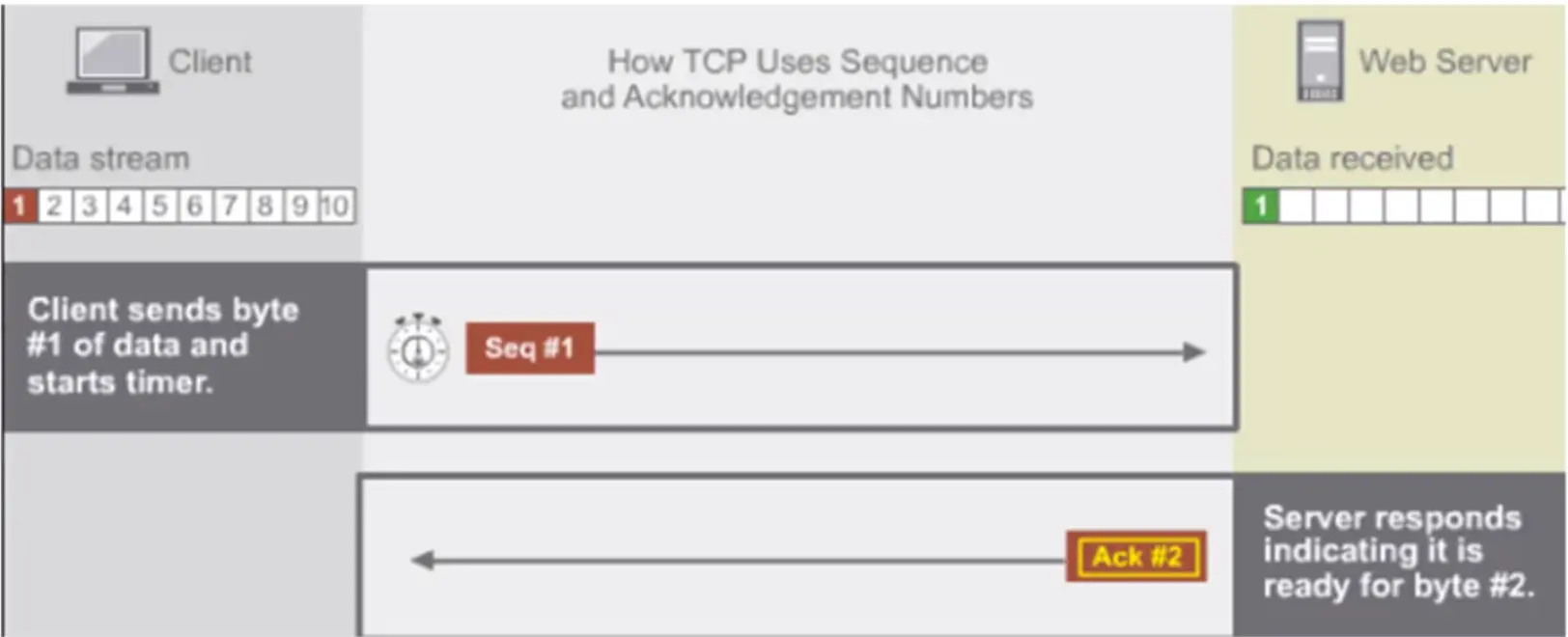 Basics of IP Addressing and the OSI Model