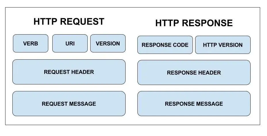 Basics of IP Addressing and the OSI Model