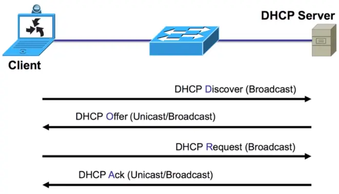 Basics of IP Addressing and the OSI Model