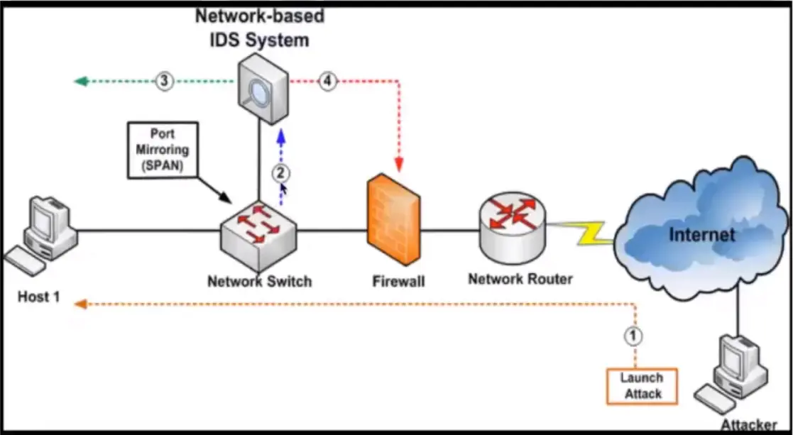 Basics of IP Addressing and the OSI Model