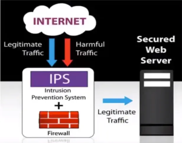 Basics of IP Addressing and the OSI Model