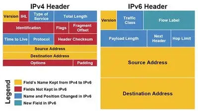 Basics of IP Addressing and the OSI Model
