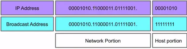 Basics of IP Addressing and the OSI Model
