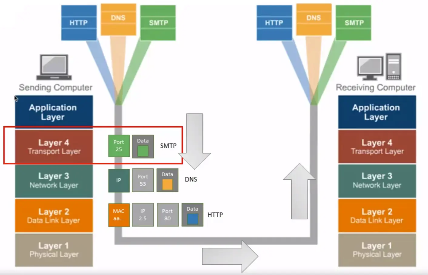 Basics of IP Addressing and the OSI Model