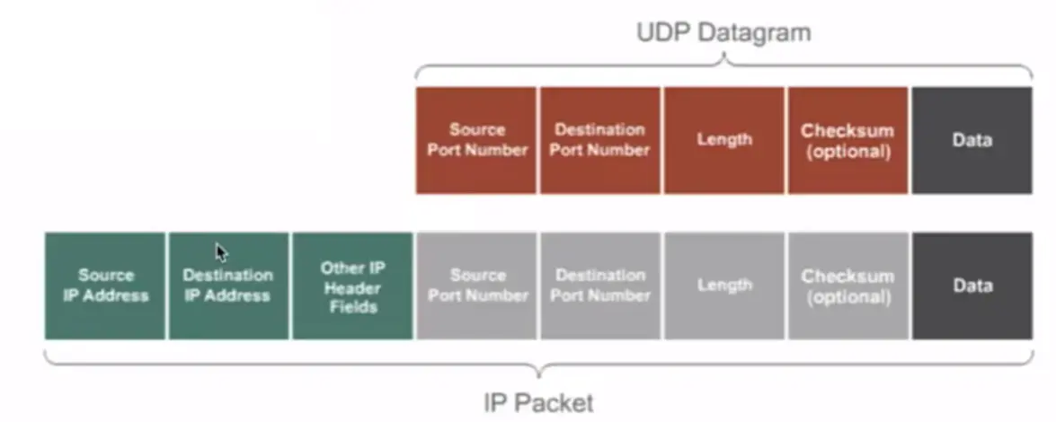 Basics of IP Addressing and the OSI Model