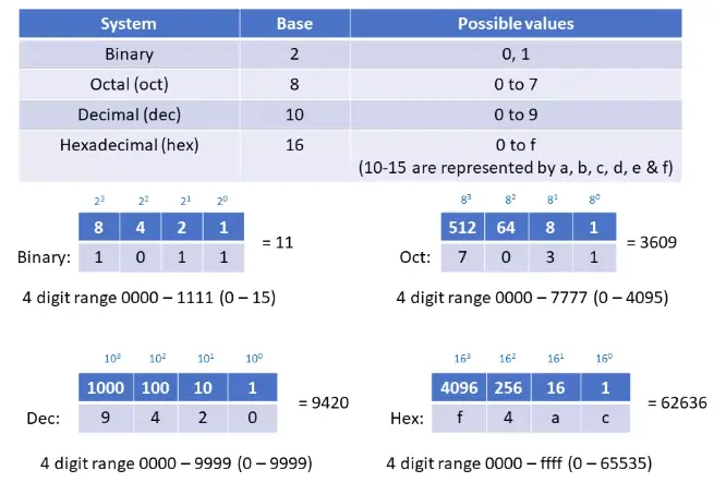 Basics of IP Addressing and the OSI Model