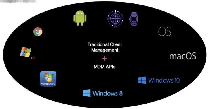Client System Administration Endpoint Protection and Patching