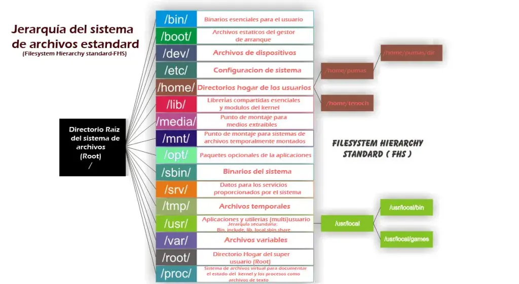 Operating System Security Basics