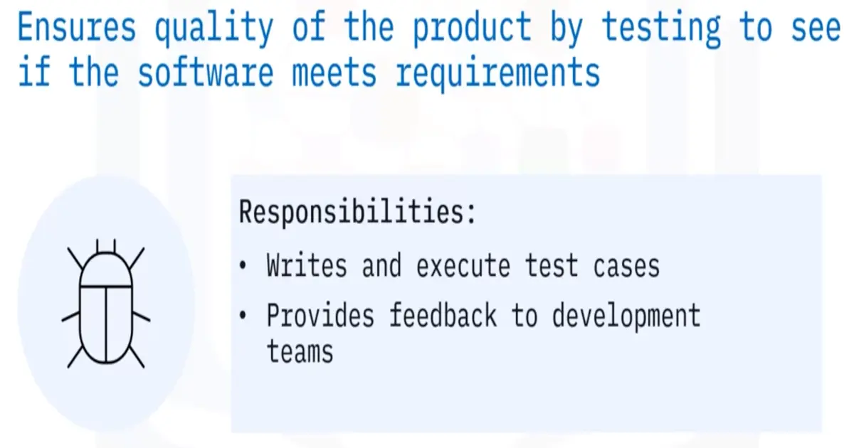 The Software Development Lifecycle