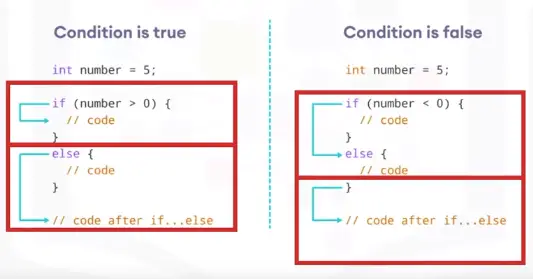 Basics of Programming