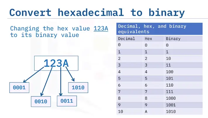 Introduction to Computing Fundamentals
