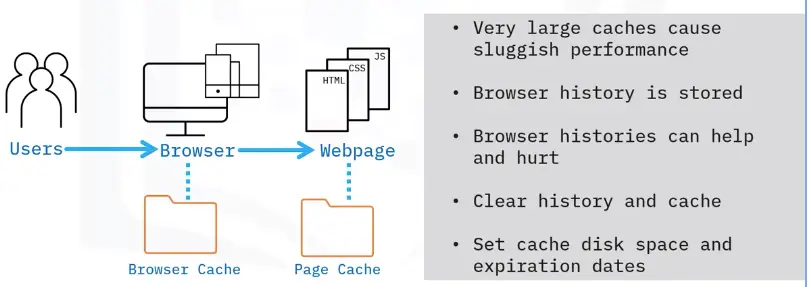 Safe Browsing Practices